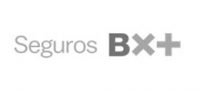 seguros-bx