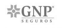 seguros-gnp